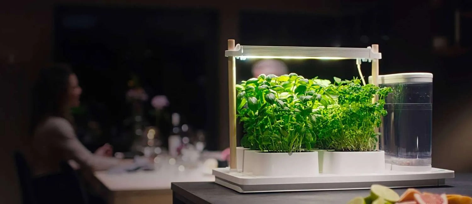 The Ultimate Guide to Indoor Garden Systems
