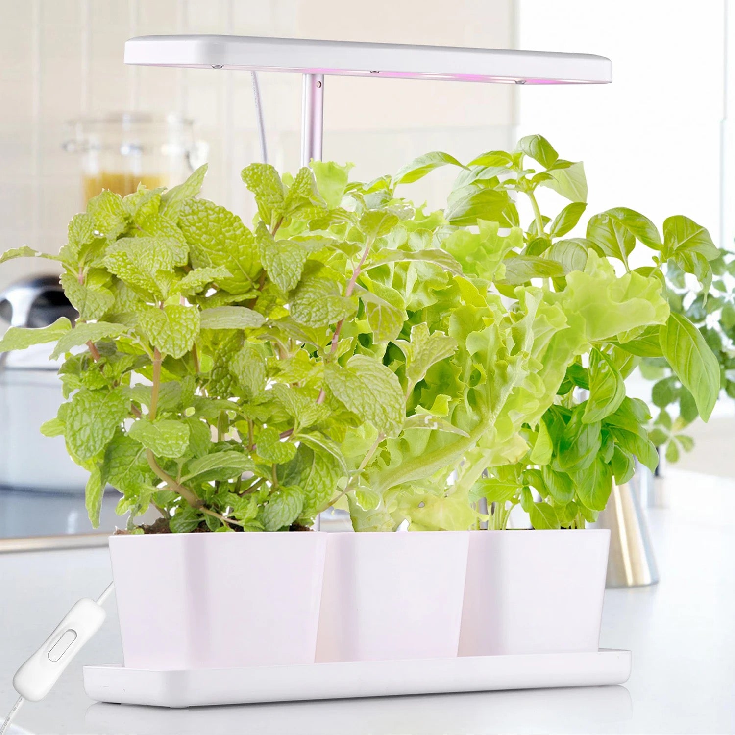 Vegrower L2 Indoor Plant Growing Kits