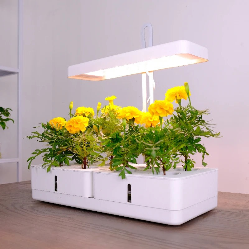 Vegrower H8 Hydroponic System With 8 Pods