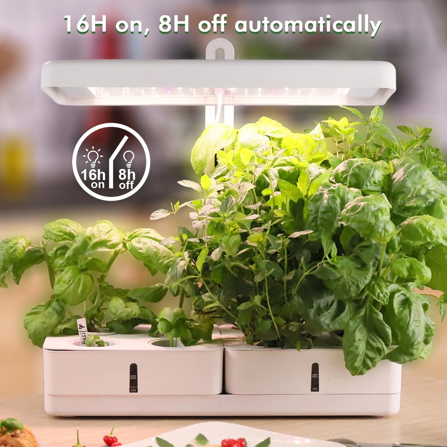 Vegrower H8 Hydroponic System With 8 Pods