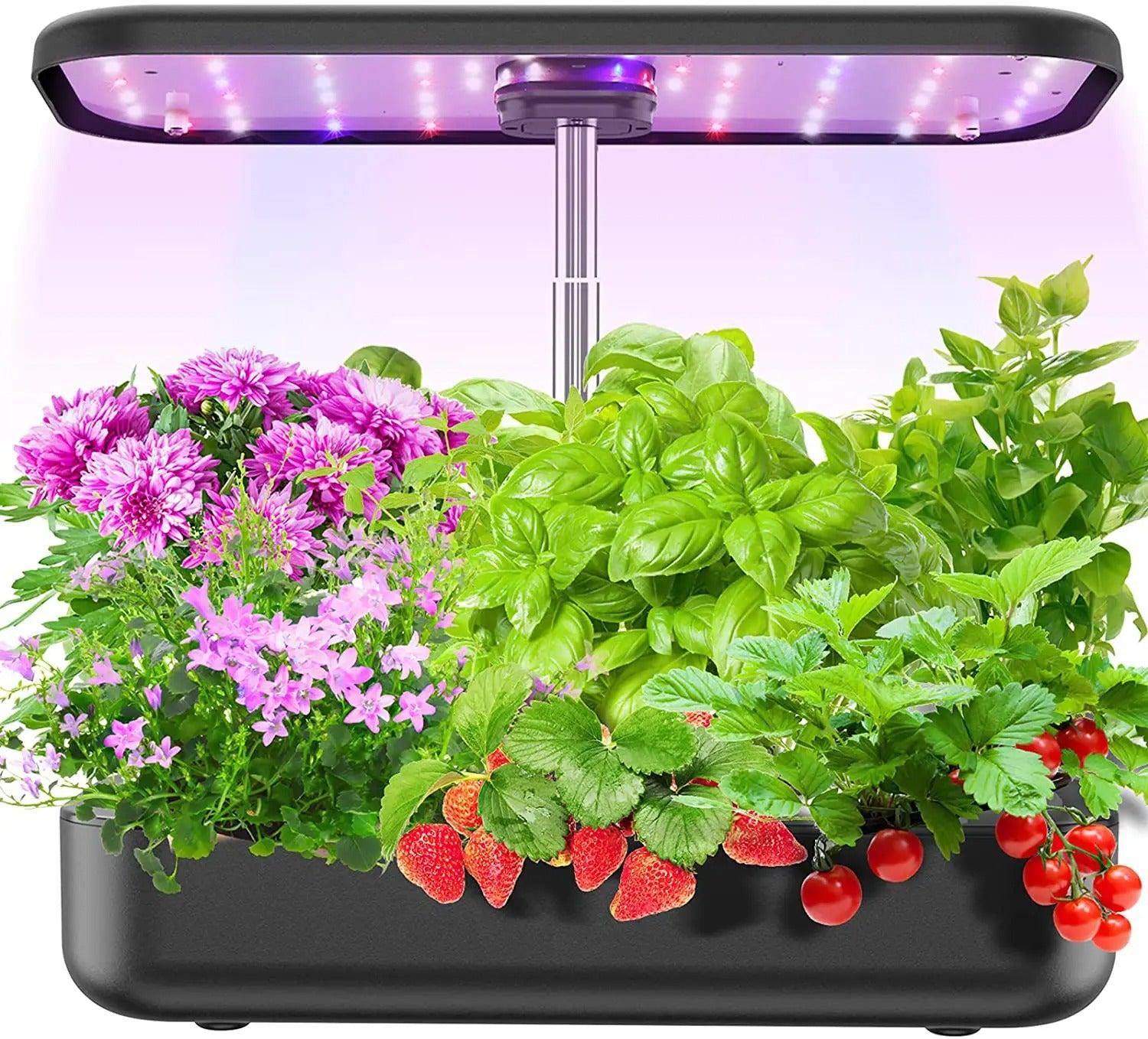 Vegrower H12 Hydroponic Growing System with 12 Pods