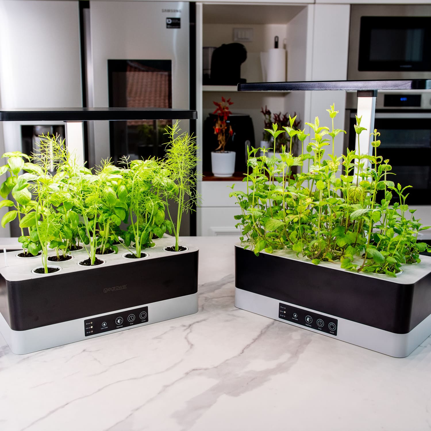 Vegrower H2 Hydroponic System with 6 Pods